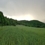 Satılır Torpaq İsmayıllı 3