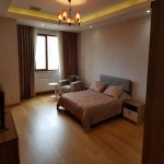 Kirayə (aylıq) 2 otaqlı Yeni Tikili, Nərimanov rayonu 9