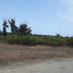 Satılır Torpaq Xaçmaz / Nabran 3