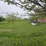 Satılır Torpaq İsmayıllı 2