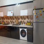 Kirayə (aylıq) 4 otaqlı Bağ evi, Mərdəkan, Xəzər rayonu 17