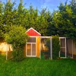 Kirayə (aylıq) 4 otaqlı Həyət evi/villa, Saray, Abşeron rayonu 13