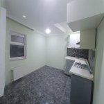 Satılır 2 otaqlı Həyət evi/villa, Binəqədi qəs., Binəqədi rayonu 9