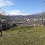 Satılır Torpaq Qəbələ 4