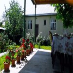 Kirayə (günlük) 3 otaqlı Həyət evi/villa Qəbələ 6