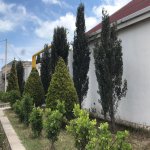 Kirayə (aylıq) 4 otaqlı Bağ evi, Şüvəlan, Xəzər rayonu 4