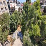 Kirayə (aylıq) 10 otaqlı Ofis, 8 Noyabr metrosu, Hərbi Hospital, Nəsimi rayonu 2