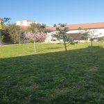 Kirayə (aylıq) 5 otaqlı Bağ evi, Bilgəh qəs., Sabunçu rayonu 4