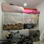 Продажа 3 комнат Новостройка, Сарай, Абшерон район 11