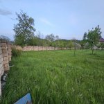 Satılır Torpaq Qəbələ 6