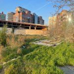 Продажа Участок, пос. Бадамдар, Сябаиль район 2