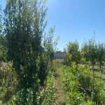 Satılır Torpaq, Buzovna, Xəzər rayonu 11