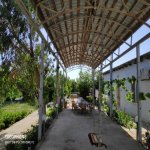 Satılır 3 otaqlı Bağ evi, Bilgəh qəs., Sabunçu rayonu 4