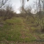 Satılır 4 otaqlı Həyət evi/villa Xaçmaz 3