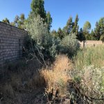 Satılır Torpaq, Mərdəkan, Xəzər rayonu 4
