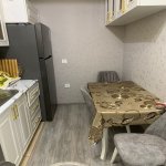 Kirayə (aylıq) 2 otaqlı Yeni Tikili, Gənclik metrosu, Nərimanov rayonu 6