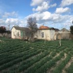 Satılır Torpaq, Buzovna, Xəzər rayonu 5
