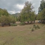 Satılır Torpaq Qəbələ 2