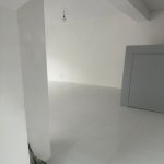 Kirayə (aylıq) Obyekt, 28 May metrosu, Nəsimi rayonu 5