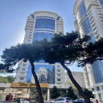 Satılır 4 otaqlı Yeni Tikili, Nəsimi rayonu 1