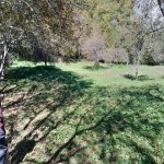 Продажа Участок Огуз 1