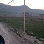 Satılır Torpaq, Avtovağzal metrosu, Qobu, Abşeron rayonu 7