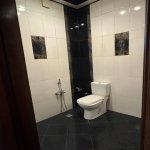 Kirayə (aylıq) 2 otaqlı Yeni Tikili, Gənclik metrosu, Olimpik Star, Nəsimi rayonu 12