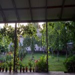 Kirayə (günlük) 1 otaqlı Həyət evi/villa Qəbələ 3