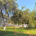 Kirayə (günlük) 7 otaqlı Həyət evi/villa İsmayıllı 21