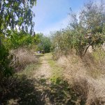 Satılır Torpaq, Maştağa qəs., Sabunçu rayonu 2