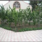 Kirayə (aylıq) 8 otaqlı Həyət evi/villa, Bilgəh qəs., Sabunçu rayonu 22