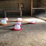 Satılır 6 otaqlı Həyət evi/villa, Novxanı, Abşeron rayonu 47