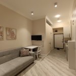 Аренда 1 комнатная Вторичка, м. Ичяришяхяр метро, Сябаиль район 10