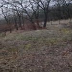 Satılır Torpaq Xızı 10