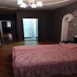 Kirayə (aylıq) 3 otaqlı Yeni Tikili, Nəriman Nərimanov metrosu, Heydər Əliyev Mərkəzi, Nərimanov rayonu 10