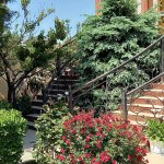 Satılır 14 otaqlı Həyət evi/villa, Nəsimi metrosu, 9-cu mikrorayon, Binəqədi rayonu 2
