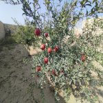 Satılır 3 otaqlı Həyət evi/villa, Türkan, Xəzər rayonu 15