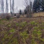 Satılır Torpaq, Novxanı, Abşeron rayonu 3