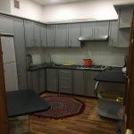 Kirayə (aylıq) 2 otaqlı Yeni Tikili, Memar Əcəmi metrosu, Binəqədi rayonu 5