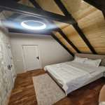 Satılır 4 otaqlı Həyət evi/villa Qəbələ 22