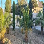 Kirayə (aylıq) 6 otaqlı Bağ evi, Mərdəkan, Xəzər rayonu 20