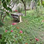 Kirayə (günlük) 3 otaqlı Həyət evi/villa Şəki 9