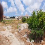 Satılır Torpaq, Novxanı, Abşeron rayonu 2