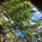 Посуточно 4 комнат Дача, Шювалан, Хязяр район 13