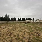 Satılır Torpaq, Mərdəkan, Xəzər rayonu 7