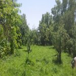 Продажа Участок Гябяля 4