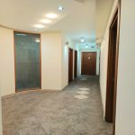 Kirayə (aylıq) 12 otaqlı Ofis, Nəsimi rayonu 10