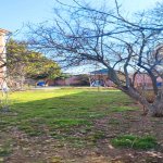 Satılır 10 otaqlı Həyət evi/villa, Şağan, Xəzər rayonu 9
