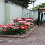 Посуточно 2 комнат Дача Губа 9