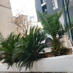 Kirayə (aylıq) 2 otaqlı Yeni Tikili, Nəriman Nərimanov metrosu, Nərimanov rayonu 23